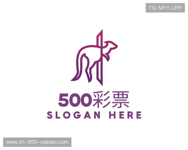 关于彩票500网